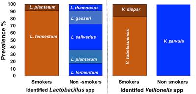 High Counts and Anthracene Degradation Ability of Streptococcus mutans and Veillonella parvula Isolated From the Oral Cavity of Cigarette Smokers and Non-smokers